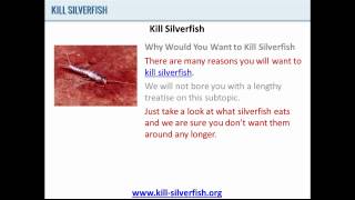 Kill Silverfish  Why You Should Kill Silverfish [upl. by Siloum]