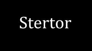 How to pronounce Stertor [upl. by Adarbil]