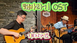 해바라기OST  기타리시모백광범 오창민 [upl. by Rica]