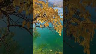 Lake Blad Slovenian travel slovenia lake nature naturelovers [upl. by Nodlehs]