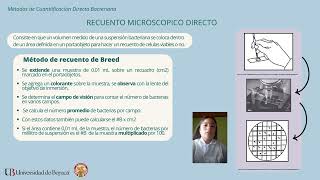 Medidas directas e indirectas del crecimiento bacteriano [upl. by Anirt547]