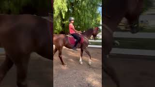 Raw of my riding with no stirrups horse horsey horses [upl. by Erasaec]