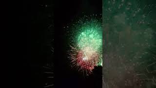 Firework PERFECT 2024 34 in 4K shorts viral fireworks [upl. by Lelah]