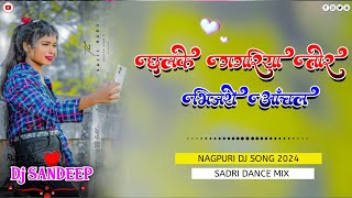 🌺Chalke Gagriya Tor Bhinjthe Anchal🌺Theth Nagpuri Dj Song 2024🎤Singer  Pankaj mahli amp Chinta Devi🌺 [upl. by Aalst]