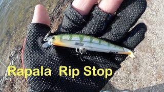 Trying the Rapala Rip Stop Jerkbait  Bass Crappie amp Pickerel  Long Island NY [upl. by Zacek]