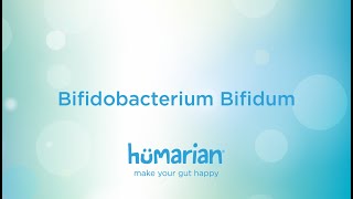 Bifidobacterium Bifidum [upl. by Utley]