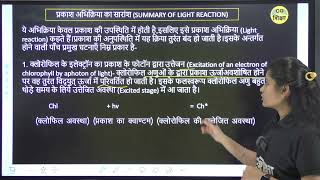 CLASS 11TH BIOLOGY CHAPTER  13 II उच्च पौधों में प्रकाशसंश्लेषण II PART  2 BY CG BOARD CG SHIKSHA [upl. by Kory]