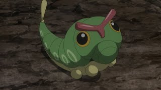 010 Caterpies first appearance in the anime shorts pokemon anime [upl. by Bresee101]