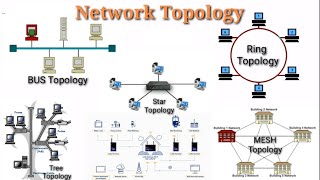 Network Topology And Types of Network Topology [upl. by Restivo267]