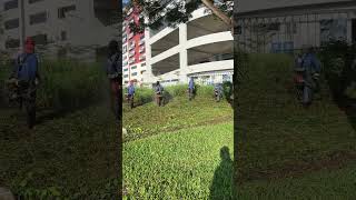 Grasscutting shortvideo grassing treecare landscapegrass satisfying automobile grass [upl. by Sivar]