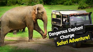 Elephant Gathering Chaos Safari Jeep Under Attack  SUDEE WILD [upl. by Ydnor]