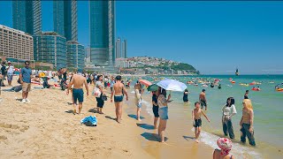 The Most Popular Travel Destination in Korea during the Summer Season  Haeundae Beach Walk 4K HDR [upl. by Irving764]