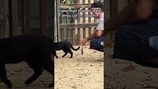 Fisherman tries to feed stray cat on the beach and this happens beach cats fish sea animals [upl. by Myrt]