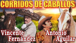 Antonio Aguilar y Vicente Fernández con Tambora ⭐ 30 Éxitos Corridos de Caballos Famosos Mix 🏇 🐎 🐴 [upl. by Ahsieyk]