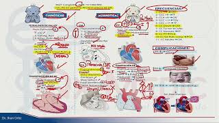 ESI 2019 PEDIATRÍA CARDIOPATÍAS CONGÉNITAS  DR JHON ORTIZ [upl. by Basir481]