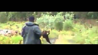 Perro Domestico Humilla a Oso Grizzly Videos Asombrosos [upl. by Akemet]