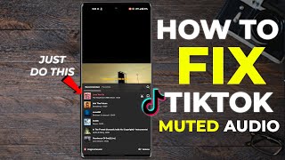 How To Fix A Muted Video On TikTok  How to Fix Tiktok Sound Removed [upl. by Notelrac680]