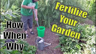 How To Fertilize Your Garden The Correct Way  How When amp Why [upl. by Lledrev]