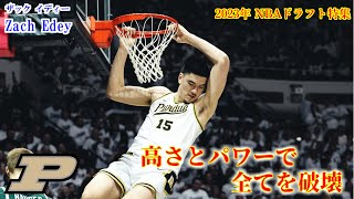 【NBA】2023年ドラフト候補ザック・イディーを解説！！【Zach Edey】 [upl. by Trebbor44]