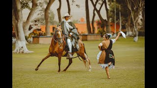 Caballo de paso peruano  Marinera norteña 2021 [upl. by Aisan]