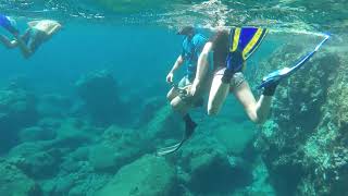 Snorkelling off SABA [upl. by Esmaria]