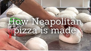 How The Neapolitan Pizza Dough Is Made [upl. by Otero9]