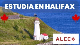 ESTUDIA Inglés en HALIFAX CANADÁ [upl. by Gibe78]