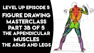 Episode 5 Part 3B The Appendicular Muscles [upl. by Orhtej213]