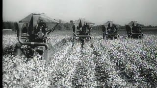 HD Historic Archival Stock Footage Cotton Picking Machines [upl. by Enerahs]