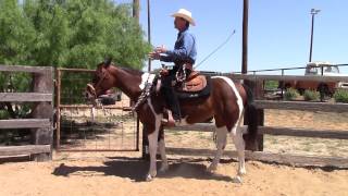 Dale Fredricks Horse Training  How to slow down stop and back up a horse with your body [upl. by Mallissa932]