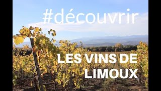 à la découverte des vins de Limoux [upl. by Ekram418]