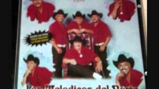 Los Melodicos del Norte  Los Mil Kilos [upl. by Hcra]