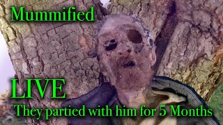 🍅 HORROR IN THE BOG LIVE 24  Lets Go for a Sunday Walk LIVE 24A We go to the actual location [upl. by Lowenstern673]