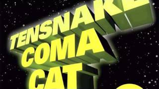 Tensnake  Coma Cat Mark Knight Korma Cat Remix [upl. by Woermer]