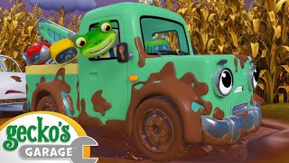 Muddy Trucks  Geckos Garage  Trucks For Children  Cartoons For Kids [upl. by Cordle]