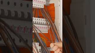 Single phase distribution board wiring diagram electronic electrical wiring viralvideo shorts [upl. by Gievlos]