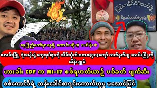 အဘ ရဲ့ ငှက်ကင် [upl. by Spike]