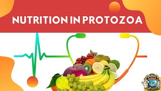 Ignou BZYCT131ProtozoansPart 6 [upl. by Bushweller]