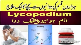 Lycopodium Homeopathic Medicine  Lycopodium 1m Symptoms amp Benefits  Dose 200 1M  Q  USES [upl. by Buckley]