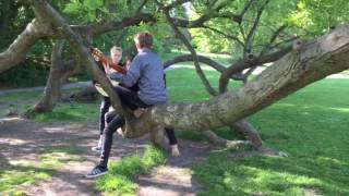 Gitarrentrio auf dem Baum Un poquito cantas [upl. by Orlena]