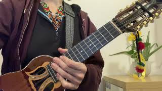 Charango PLAY THRU  Taita Inti  with Metronome at 50bpm FOR DIDACTIC USE [upl. by Rochell]