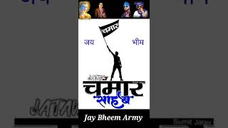 jaton king ka power Jay Bheem love video chamar [upl. by Towers546]