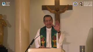 Homily By Fr Jerry Orbos SVD  February 7 2021 5th Sunday in Ordinary Time [upl. by Nayd]