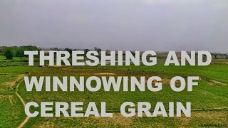 threshing and winnowing [upl. by Bran]