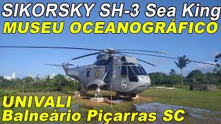 🚁 Missões Heroicas O Sikorski SH3 Sea King registro N3012 repousa de forma heróica  071124 [upl. by Ydak674]