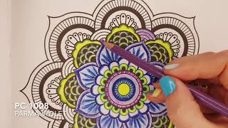 How to Colour a Mandala step by step [upl. by Zzabahs]