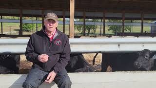 Whole Cottonseed Benefits For Beef Producers  Terry Quam [upl. by Eille]