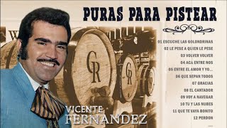 PURAS PARA PISTEAR SELECCIÓNADAS VICENTE FERNÁNDEZ MIX PERRONAS  VICENTE FERNÁNDEZ EBRIO [upl. by Zalea]