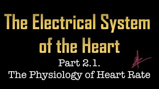 Cardiac Electrical System ระบบไฟฟ้าหัวใจ  The Physiology of Heart Rate  The Pacemaker [upl. by Ashely]