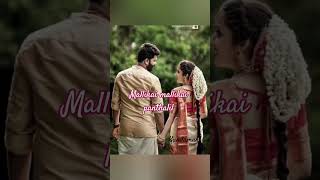 Mallikai mallikai panthalil song love tamil trendingshorts shortsvideo [upl. by Kenton]